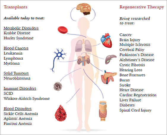 transplants-and-regenerative-therapy