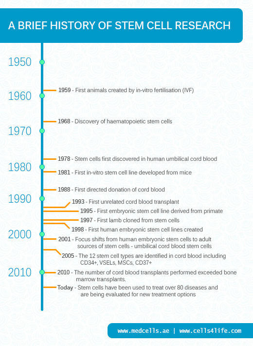 History of Stem Cell Research Infographic