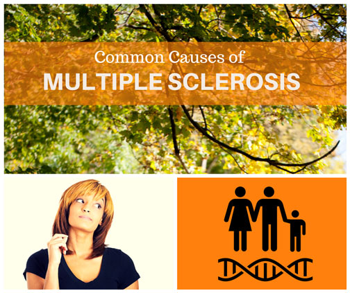 causes of multiple sclerosis