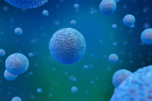 Stem Cells: The Building Blocks of Life