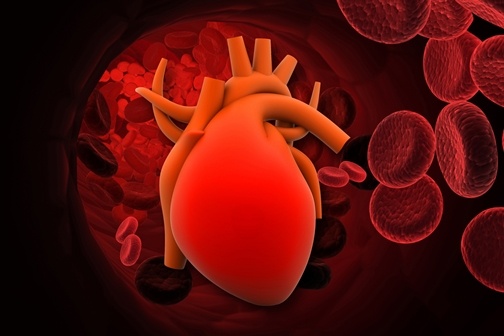 The Potential of Gene & Stem Cell Therapy for Coronary Artery Grafts