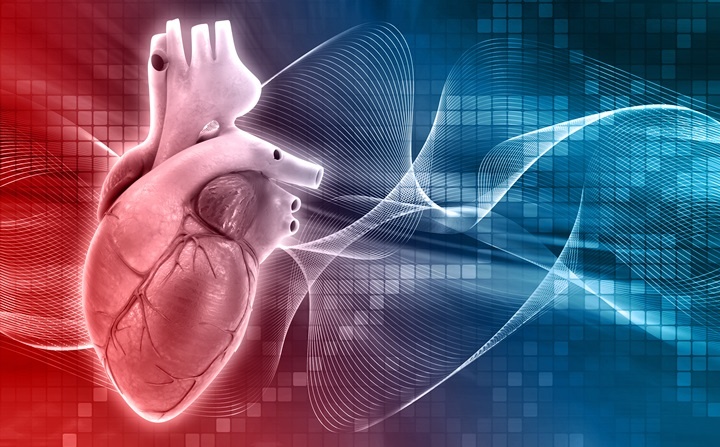 Scientists Closer To Growing Replacement Hearts Using Stem Cells