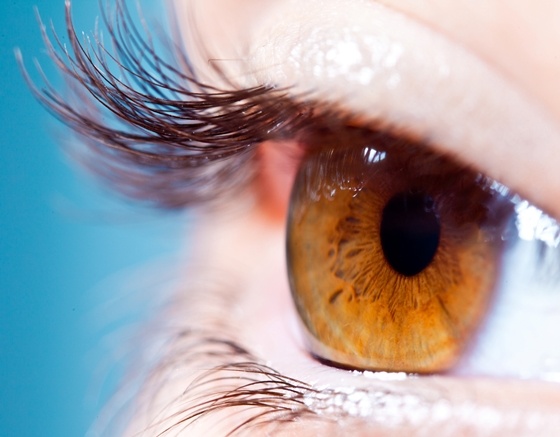 Scientists Use Stem Cells to Grow ‘Living Lens’ in Eye