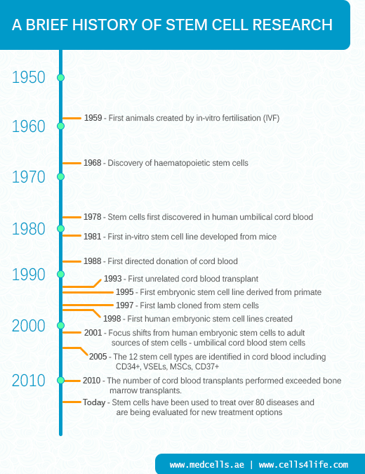 A Brief History of Stem Cell Research