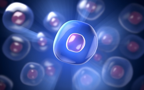 What’s Next for Stem Cells and Regenerative Medicine?