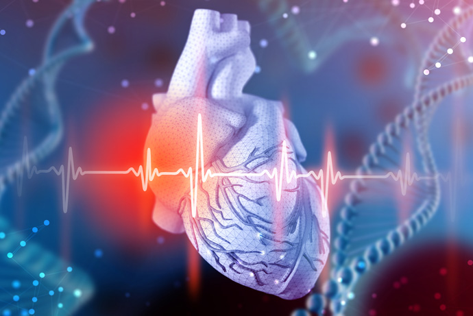 Heart Attack Modeled with Human Stem Cells