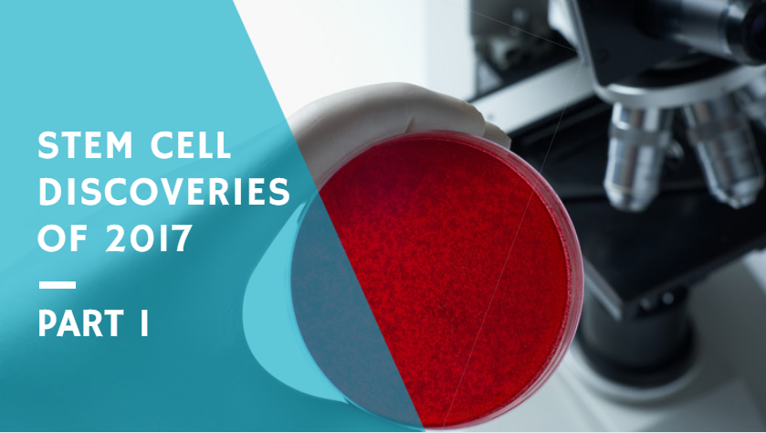 A Recap of the Best Stem Cell Discoveries of 2017: Part 1