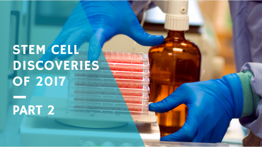A Recap of the Best Stem Cell Discoveries of 2017: Part 2