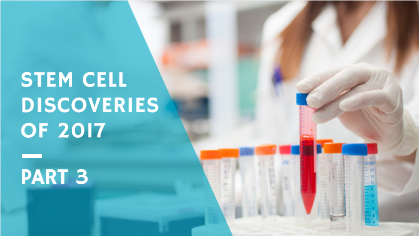 A Recap of the Best Stem Cell Discoveries of 2017: Part 3