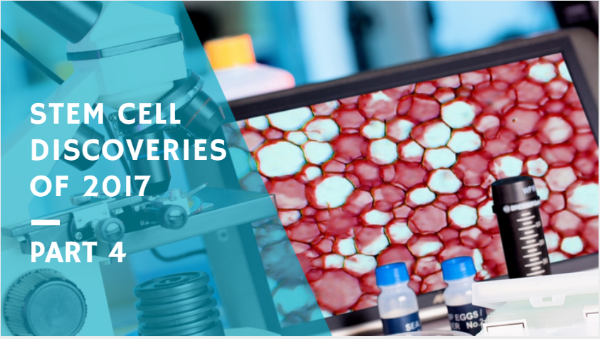 A Recap of the Best Stem Cell Discoveries of 2017: Part 4