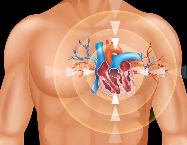 Platelet Coated Stem Cells Could Offer Targeted Heart Repair