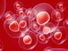 Role of Mesenchymal Stem Cells and Derived Factors in Liver Failure