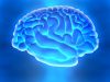 Regenerative Effects of Umbilical Cord Plasma Treatment on the Brain