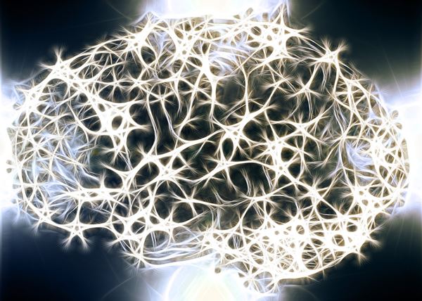 Using Wharton’s Jelly Mesenchymal Stem Cells To Protect the Brain