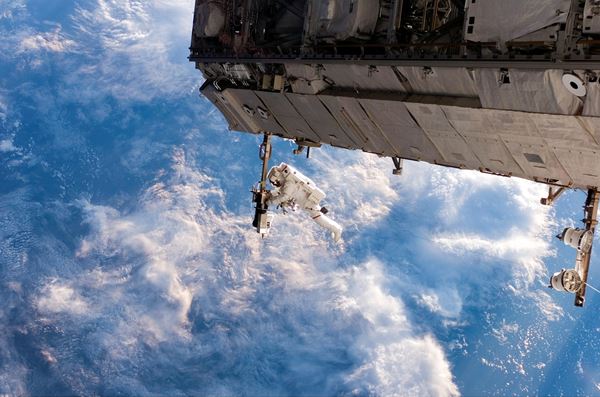 Why Scientists are Sending Stem Cells Into Space