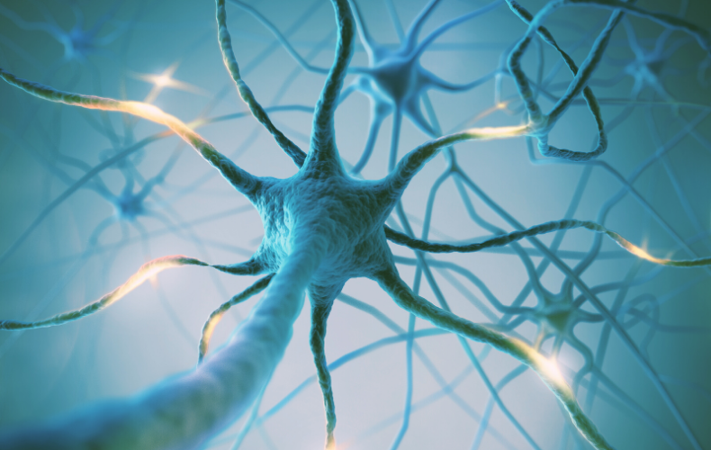 Stem Cell Therapy, A New Multiple Sclerosis Breakthrough in 2021?