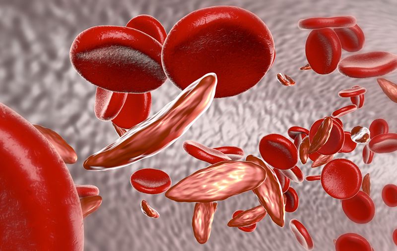 New Potential Drug from Stem Cells to Treat Blood Disorders