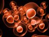 Cord Blood Therapy for Autism & Cerebral Palsy Given the Green Light