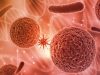 Conquering Cancer with a Stem Cell Transplant