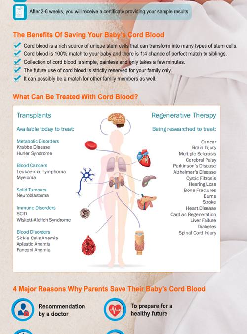Infographic: Secure Your Child’s Future ─ Save the Cord Blood