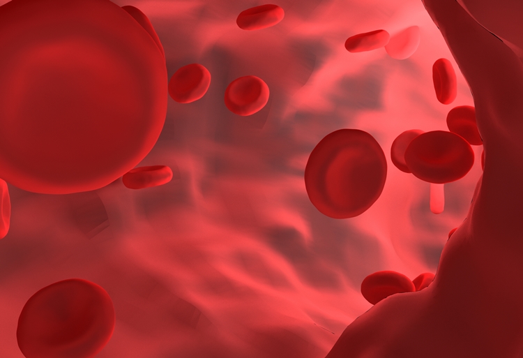 Blood Stem Cells Boost Immunity by Keeping a Record of Previous Infections