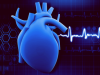 Stem Cell Therapy Appears to Reduce Deaths from Heart Failure