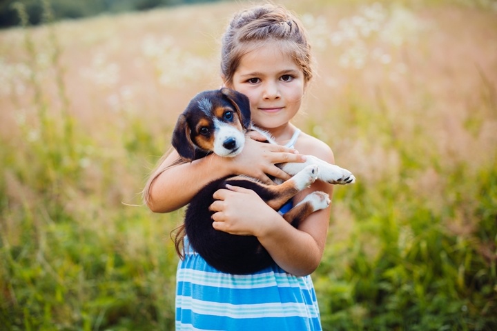 Guide to Choosing the Best Pet for Your Child
