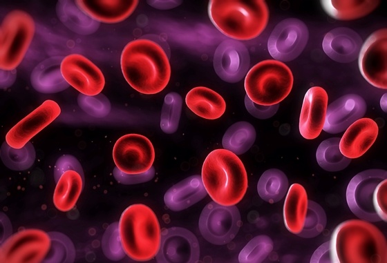 Anti-inflammatory Agent in Cord Blood Shows Promise in Mice
