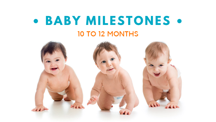 Newborn Baby Growth and Development Milestones: From 10 – 12 months