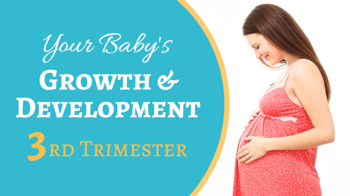 Your Baby’s Development during the Third Trimester of Pregnancy