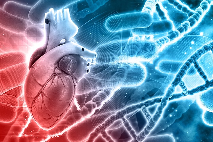 Using Stem Cells to Grow Functional, Bioengineered Arteries