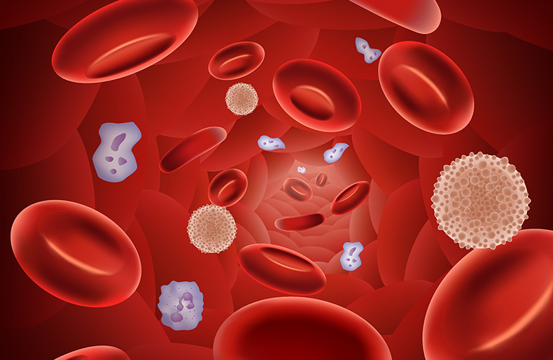 How Cord Blood Stem Cells are Used to Treat Blood Cancers