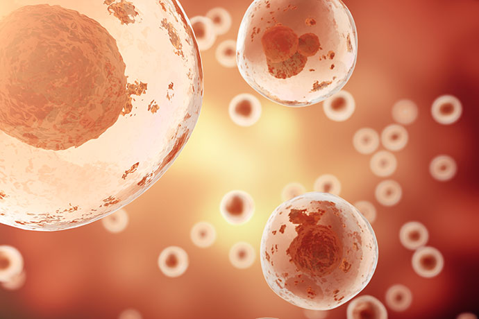 Cord Blood Stem Cells vs Bone Marrow Stem Cells