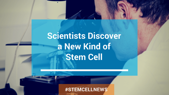 Scientists Discover a New Kind of Stem Cell
