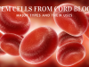 The Major Types of Stem Cells in Cord Blood & Their Uses