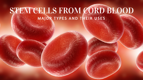The Major Types of Stem Cells in Cord Blood & Their Uses