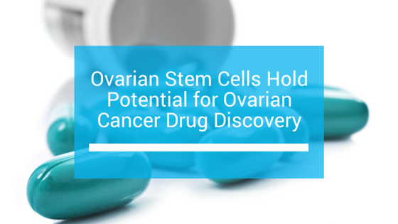 Ovarian Stem Cells Hold Potential for Ovarian Cancer Drug Discovery