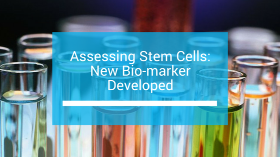 Assessing Stem Cells: New Biomarker Developed
