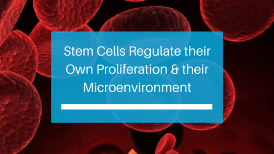 Stem Cells Regulate their Own Proliferation and their Microenvironment