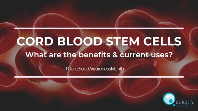 The Benefits of Cord Blood Stem Cells from a Newborn Baby
