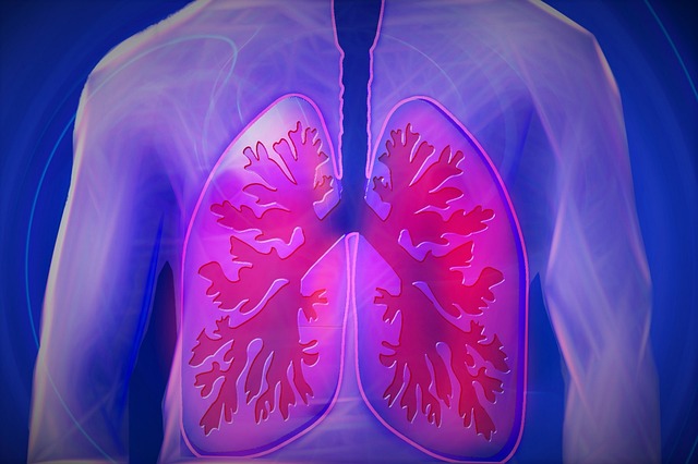 Mesenchymal Stem Cells Can Help Treat Autoimmune-Related Lung Fibrosis