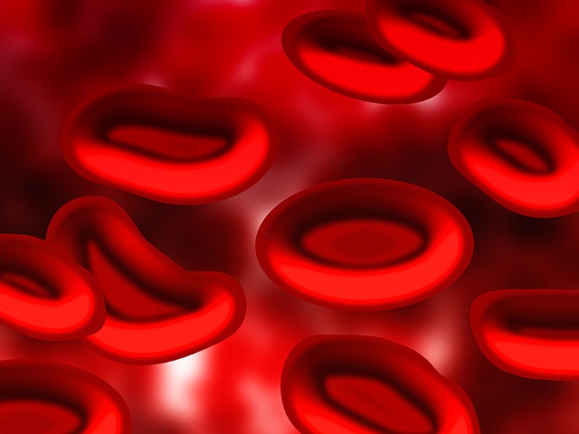 Latest Facts about Using Cord Blood for Transplants