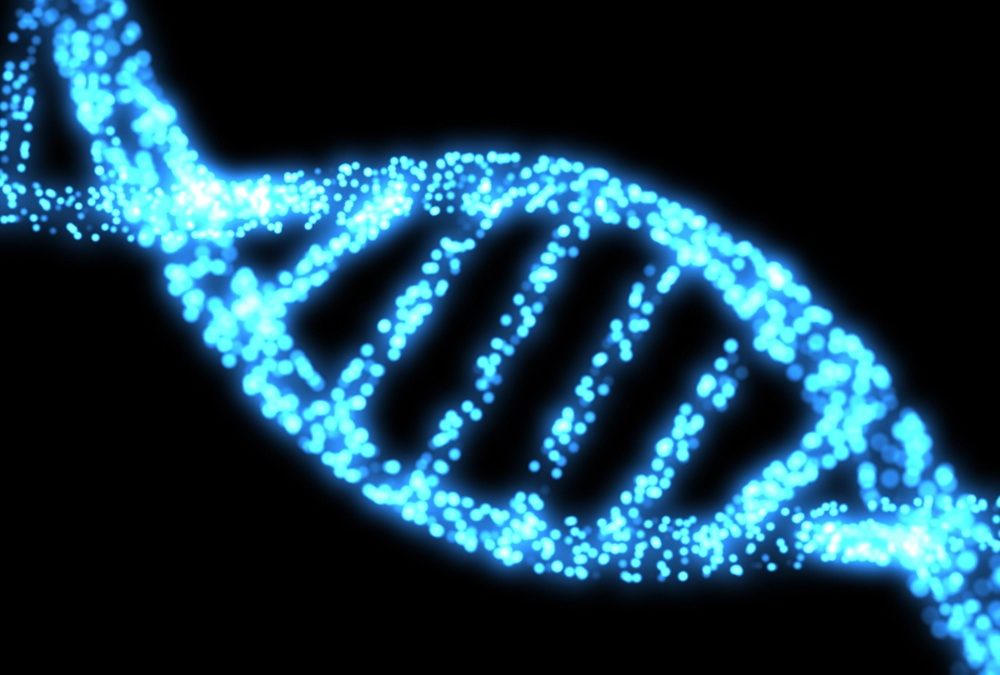 Genetic Code Edited in Stem Cells to Study Disease-Causing Changes