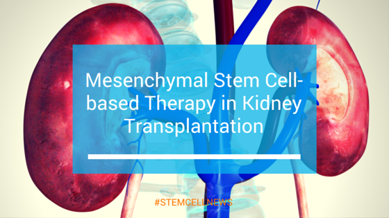 Mesenchymal Stem Cell-based Therapy in Kidney Transplantation