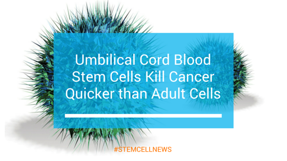 Umbilical Cord Blood Stem Cells Kill Cancer Quicker Than Adult Cells