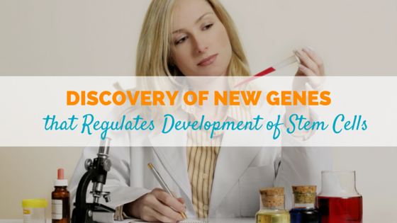 New Genes Discovered that Regulate Development of Stem Cells