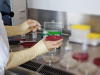 How Does the Future Look for Regenerative Medicine?