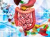 New Insights on the Lifelong Impact of Gut Stem Cells on Your Health