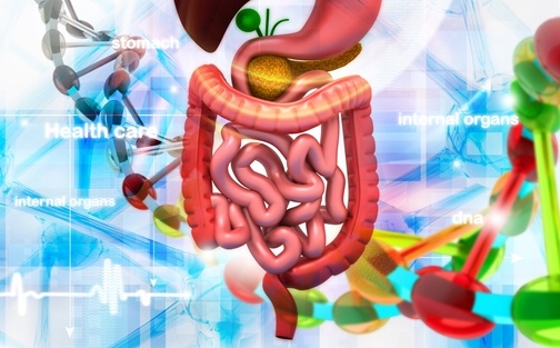 New Insights on the Lifelong Impact of Gut Stem Cells on Your Health