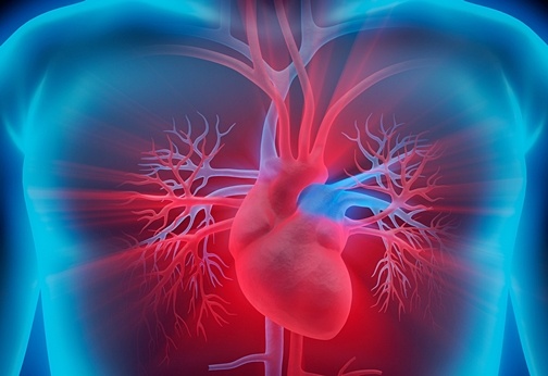 New Hydrogel Can Keep Stem Cells Alive for Heart Repair